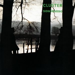 Buy Sowiesoso by Cluster on vinyl